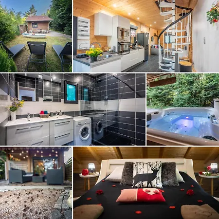 Le Des Buch Avec Sanchey