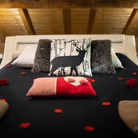 Le Des Buch Avec * Sanchey