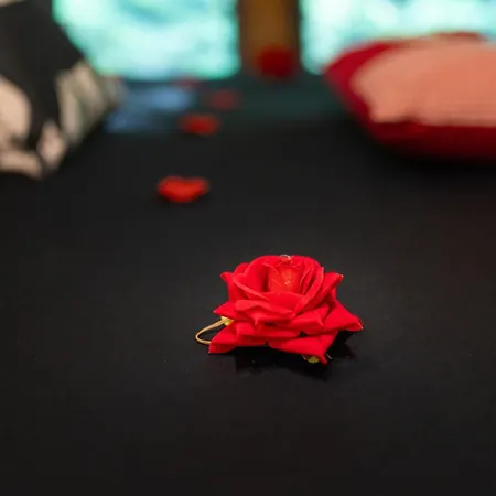 Le Des Buch Avec - Terrasse - Parking - Clim - Wifi Sanchey