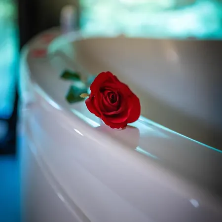 Le Des Buch Avec Chalet