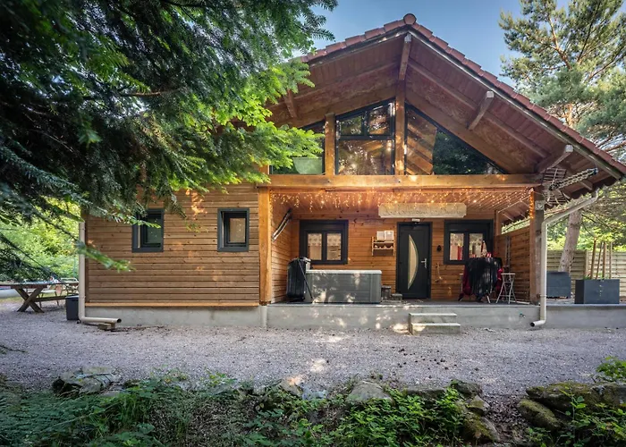 شاليه Le Des Buch Avec - Terrasse - Parking - Clim - Wifi Sanchey