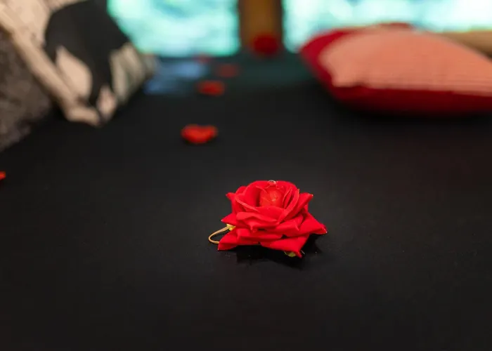 Le Des Buch Avec - Terrasse - Parking - Clim - Wifi Sanchey