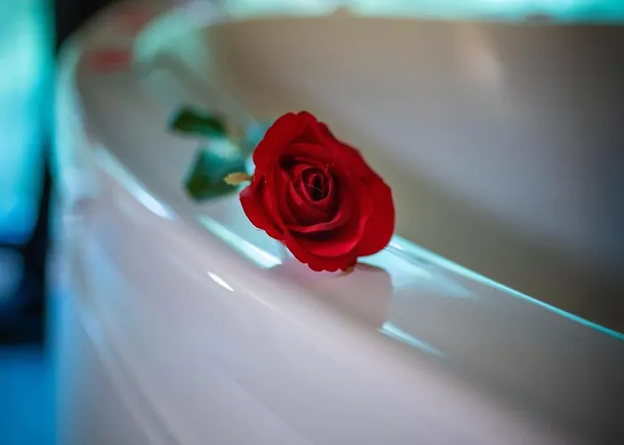 Le Des Buch Avec - Terrasse - Parking - Clim - Wifi شاليه